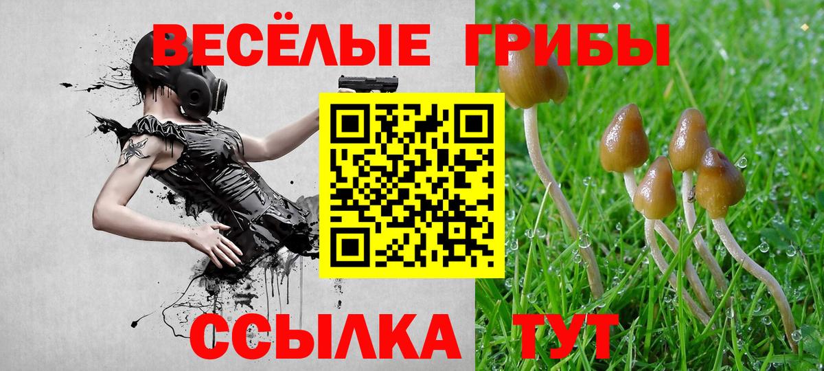 хочу   Вход с VPN  Псилоцибиновые грибы MAGIC MUSHROOMS  Нарьян-Мар  Галлюциногенные грибы мицелий 